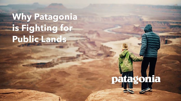 patagonia_ad